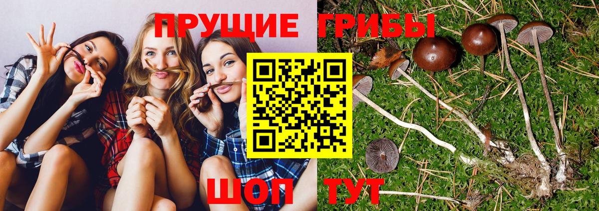Псилоцибиновые грибы ЛСД  Вход с VPN  Добрянка 