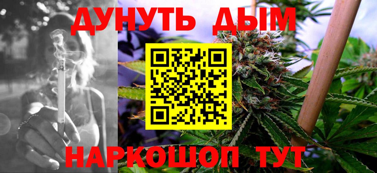 Конопля сатива Добрянка